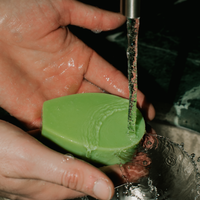 Planta Futura Cactus Soap under running water.